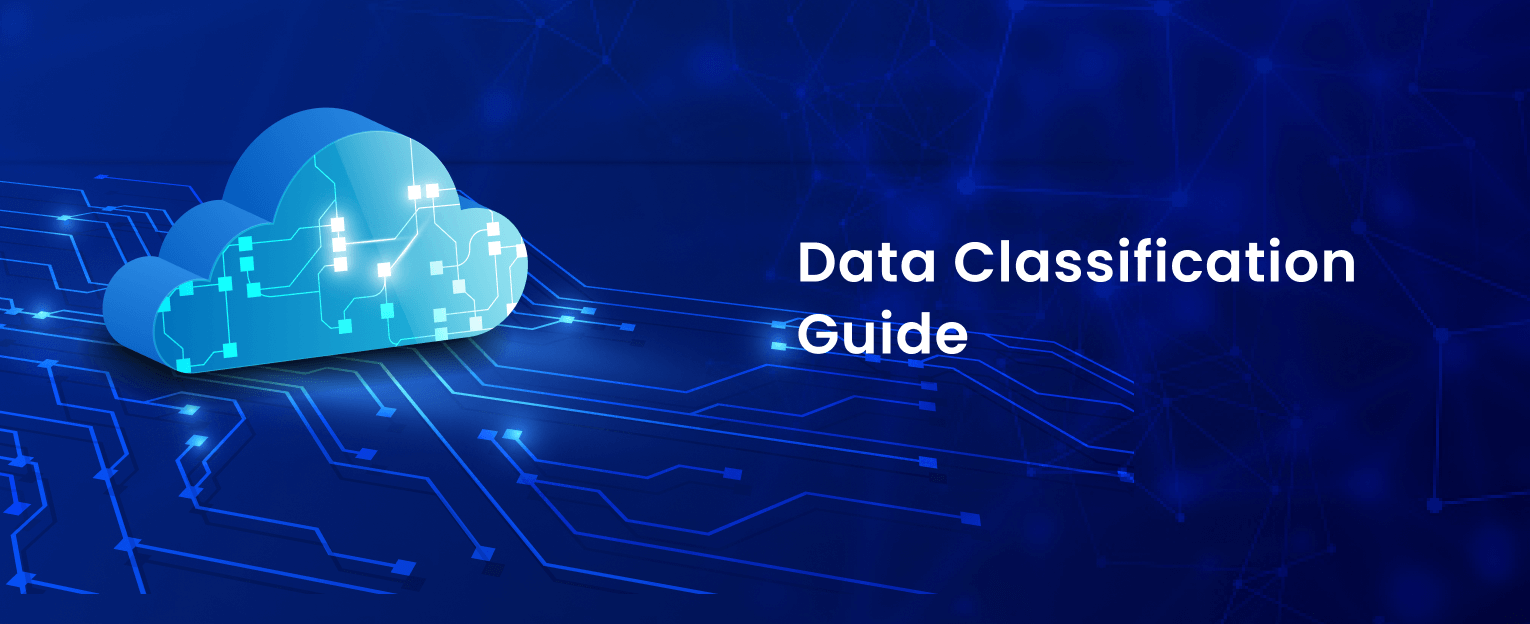 Data Classification Guide
